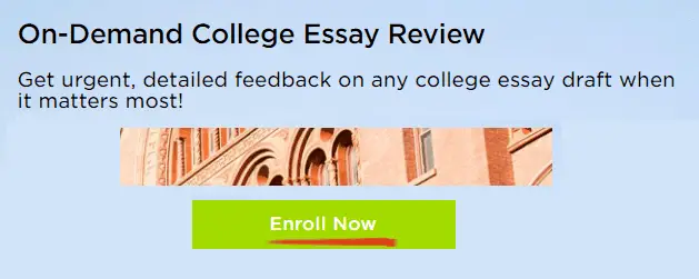 college essay review help