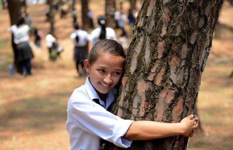 tree-hug