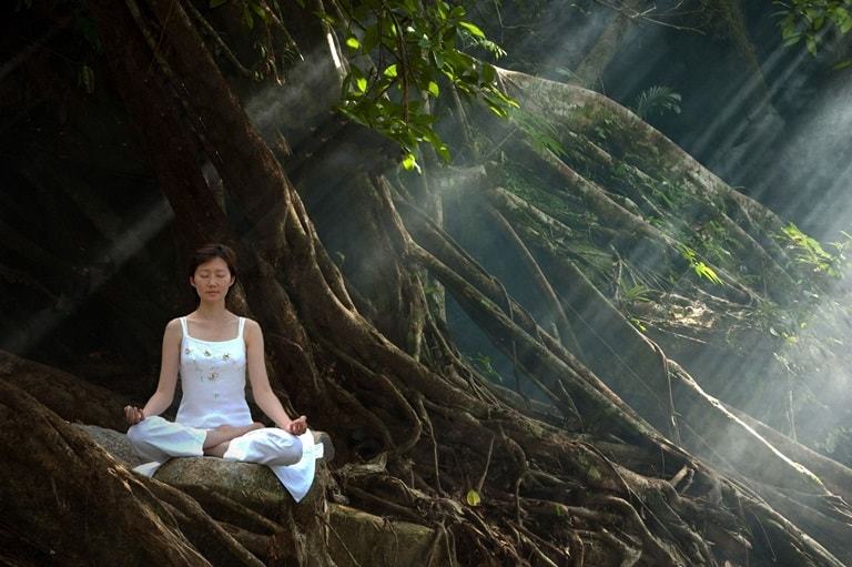 tree meditation