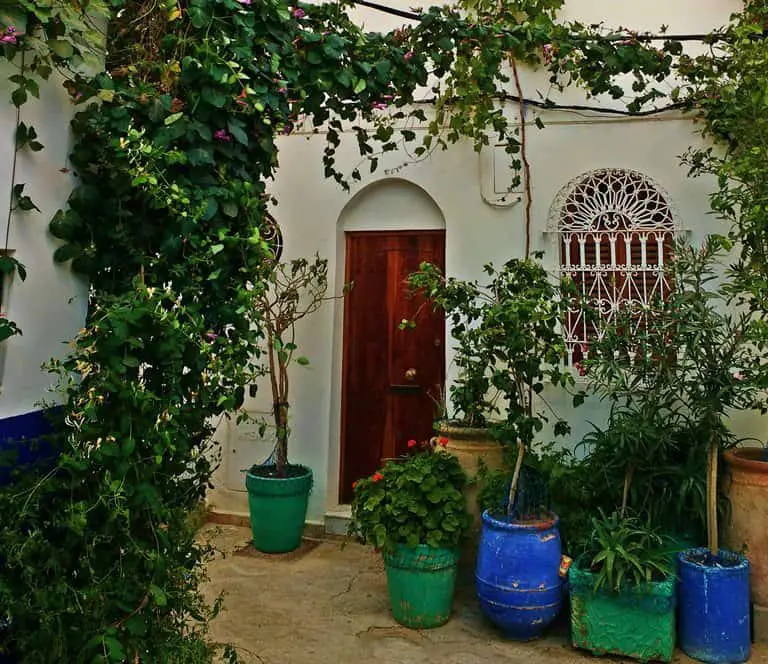 a-beautiful-house-asilah-morocco