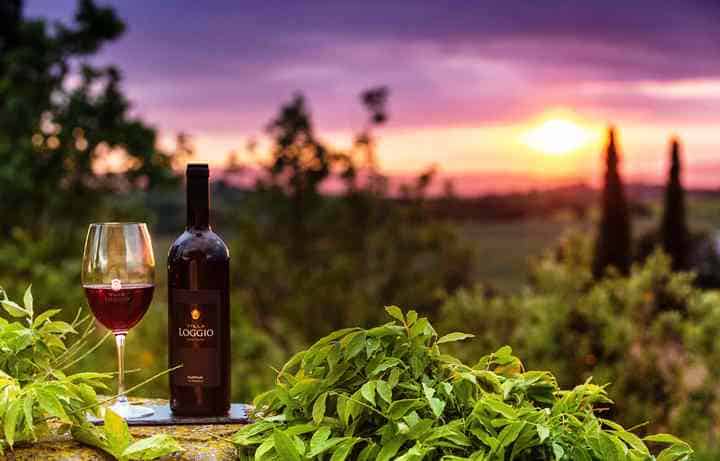 wine-and-villa-in-tuscany