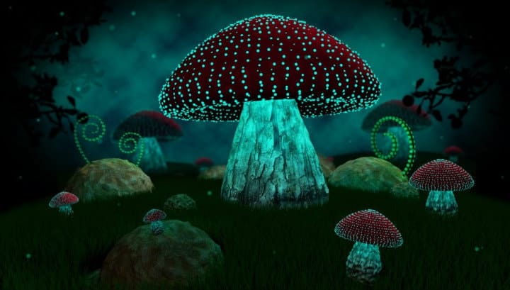 mushrooms in space
