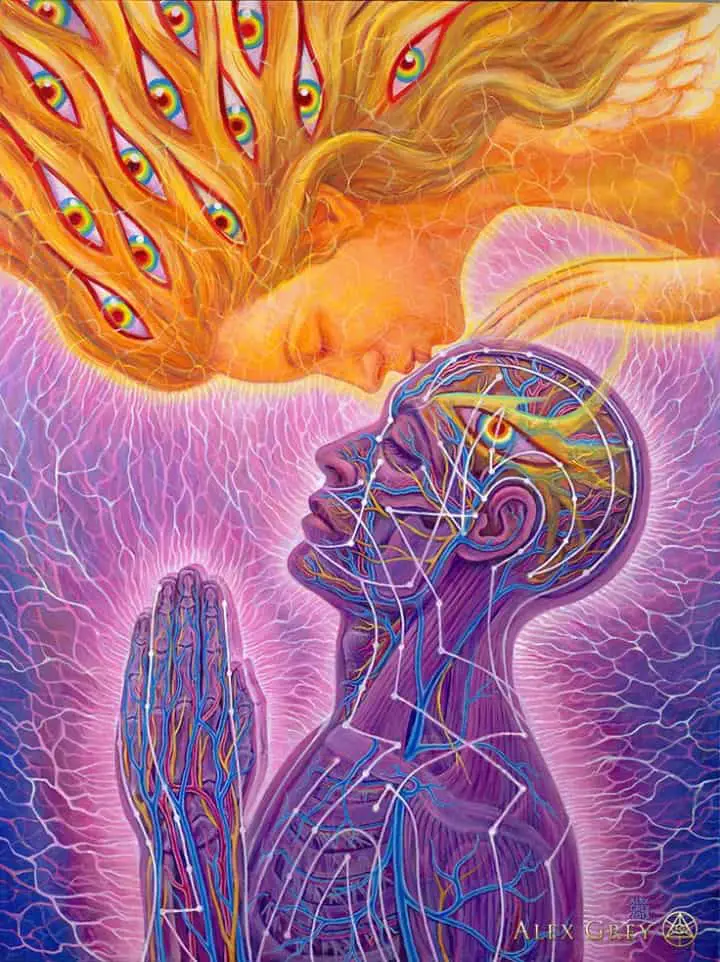 alex grey spiritual art