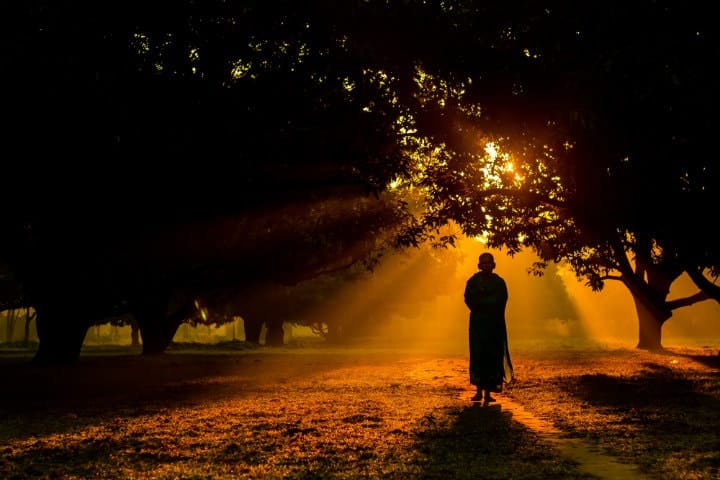 a buddhist monk walking through the forest