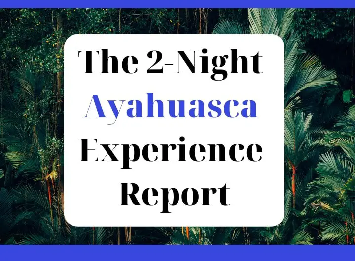 The 2-Night Ayahuasca Experience Report featured graphic
