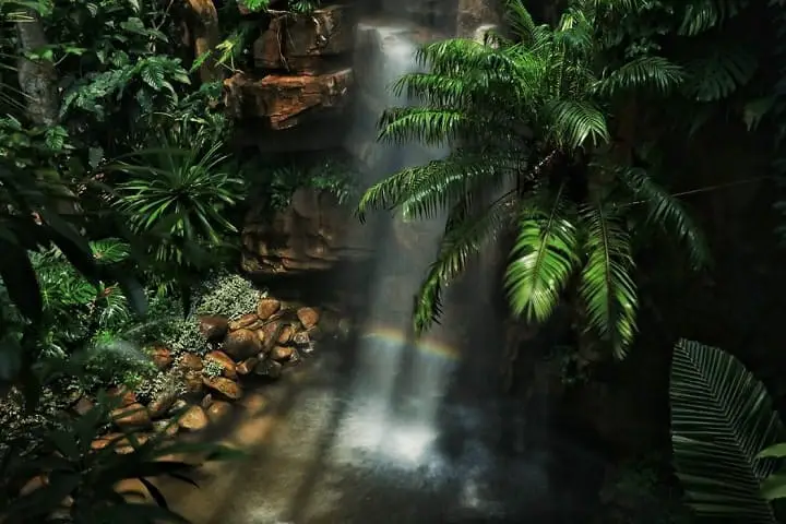 waterfall in the jungle