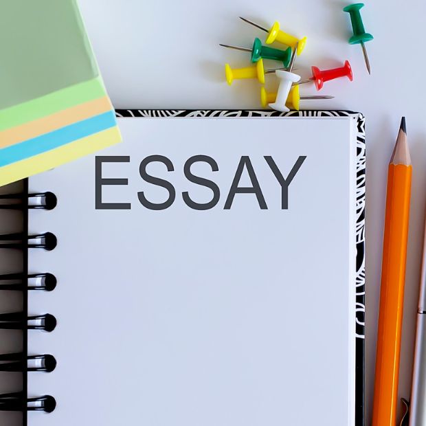 500 word essay outline