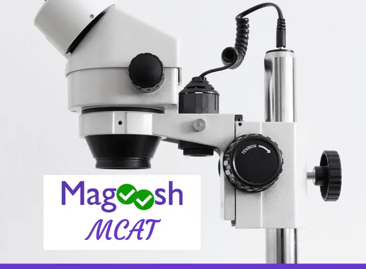 magoosh mcat - featured graphic