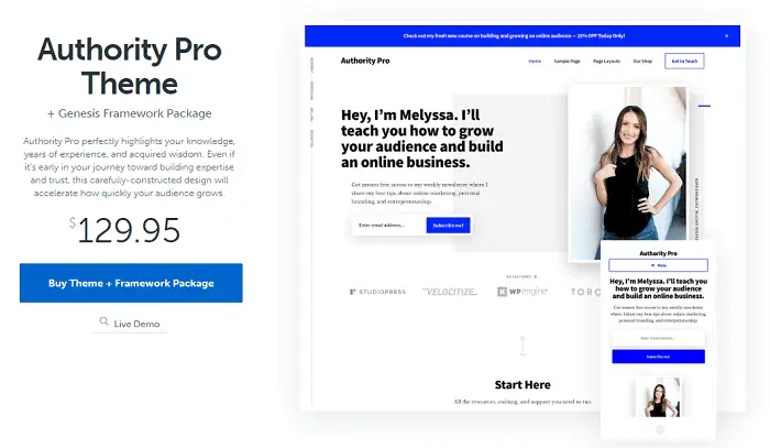 premium wordpress theme