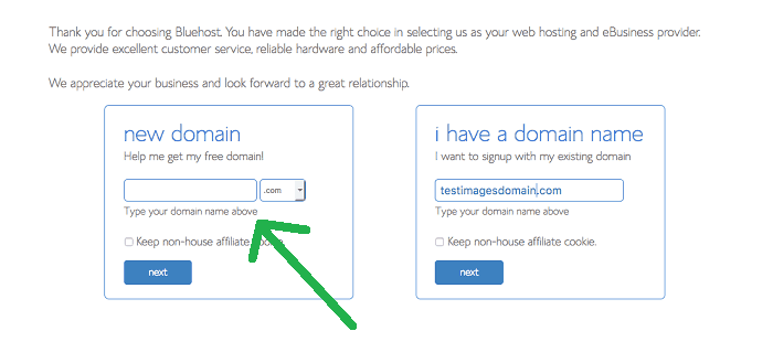 selecting domain name