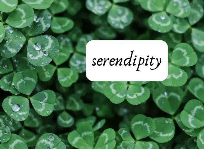 serendipity