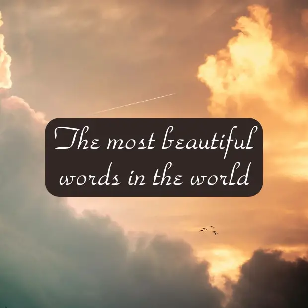 the most beautiful words in the world - featured image