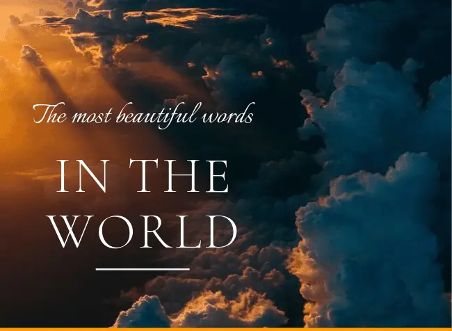 the most beautiful words in the world -