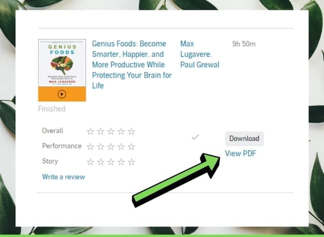 audibe pdf download view