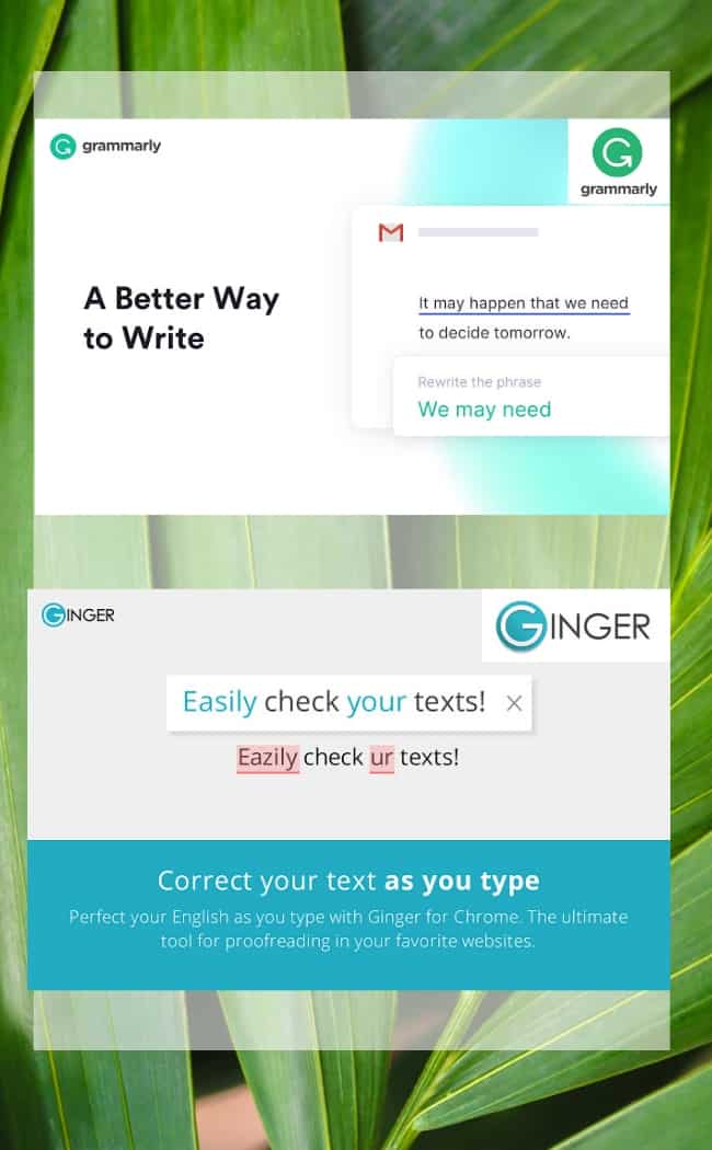 grammarly vs ginger - browser extensions