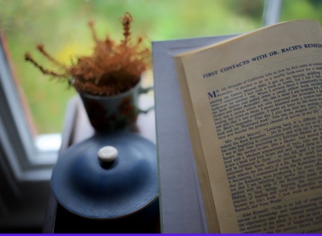 wooden book easel with a book - featured image