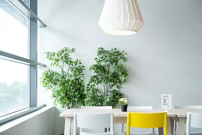 tables, chairs, natural light