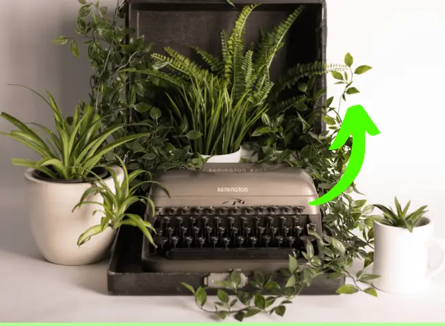 old typewriter - featured image