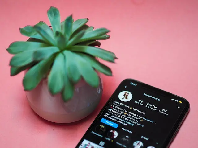 influencer phone instagram account and a plant