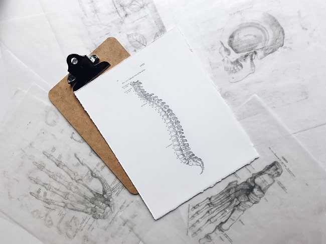 clipboard with a drawing of a spine
