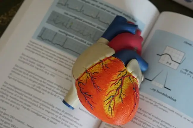 heart and medical book