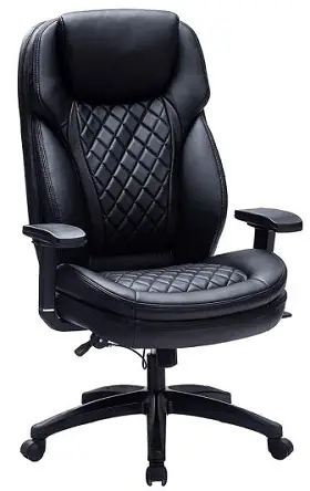 Ergonomic Office Chair with Padded Headrest and Double-Padded Seat Cushion