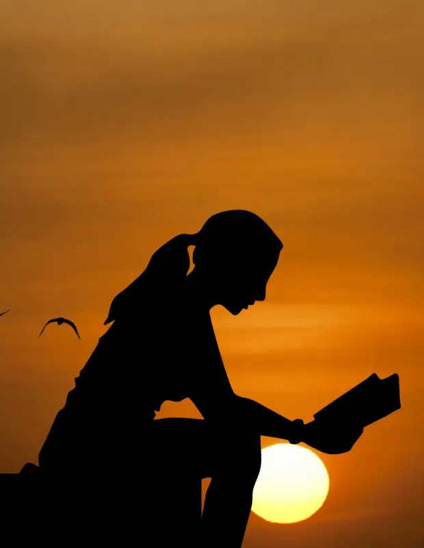 silhouette of a reader