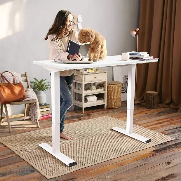 flexispot EC1 height adjustable desk