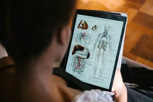 anatomy book in digital form - freelance education writer