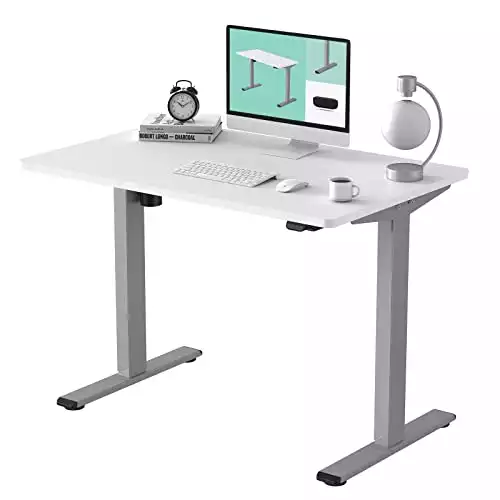FLEXISPOT EC1 Electric Sit/Stand Desk