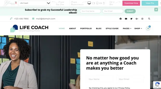 life coach wordpress theme