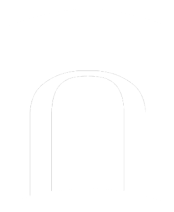 Northwestern University Press logo