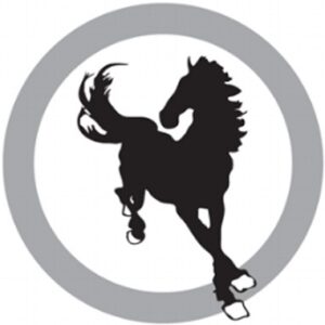 Newmarket Press logo
