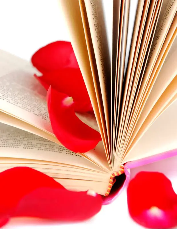 open romance novel with rose petals