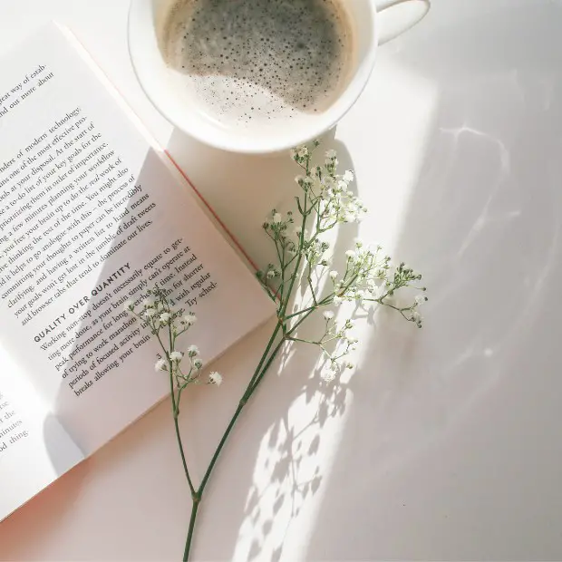 a beautiful twig, a mug of coffee, and a published book
