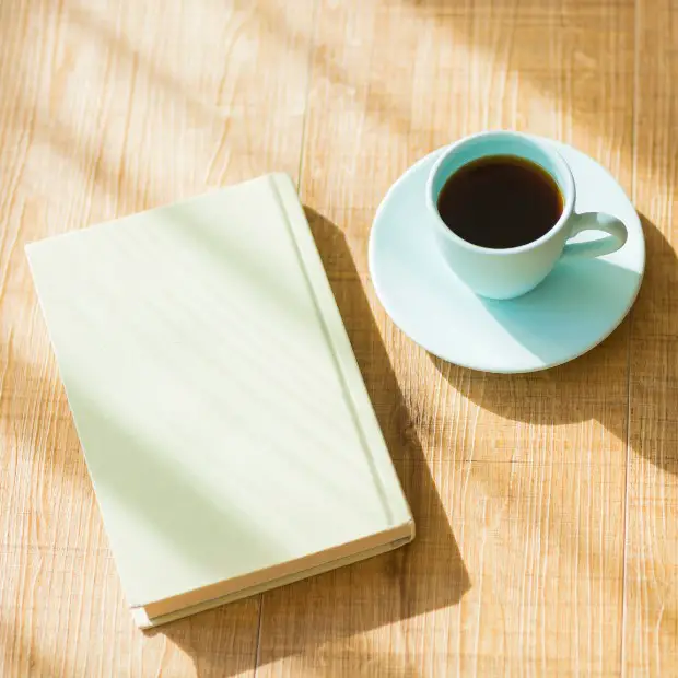 a hard-bound book in a sunny environment