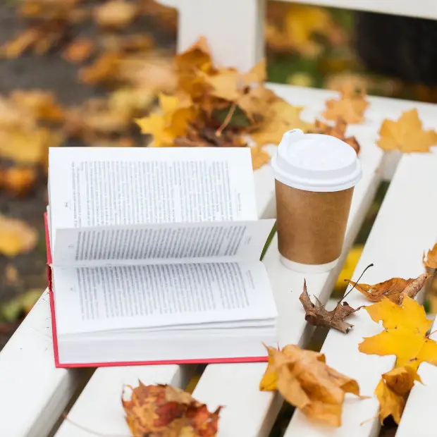 an open book on a bench surrounded by autumn leaves