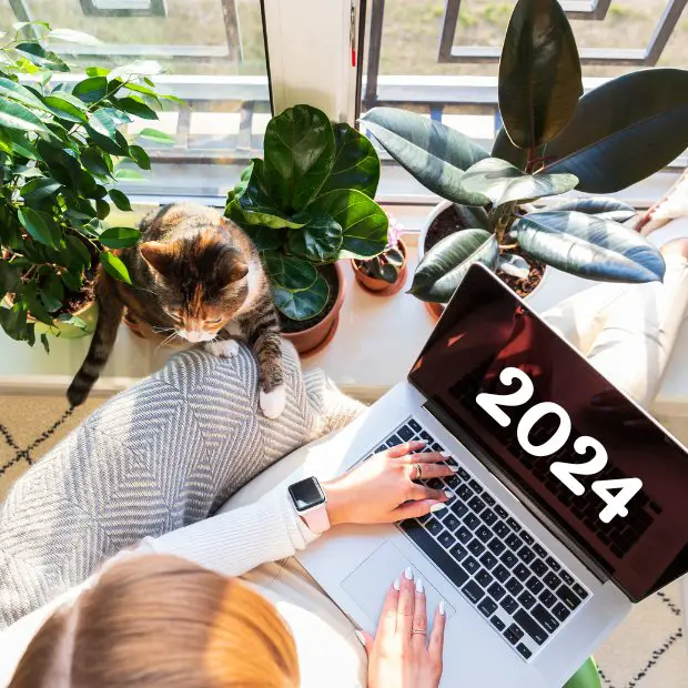 Why 2024 is Set to be the Year of the Freelancer - featured image
